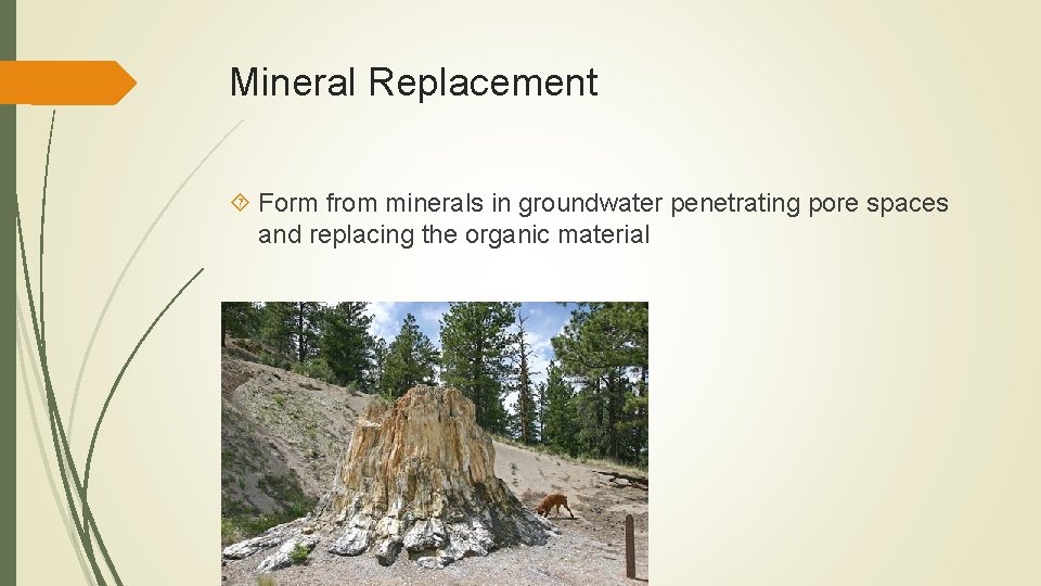 Mineral Replacement Form from minerals in groundwater penetrating pore spaces and replacing the organic