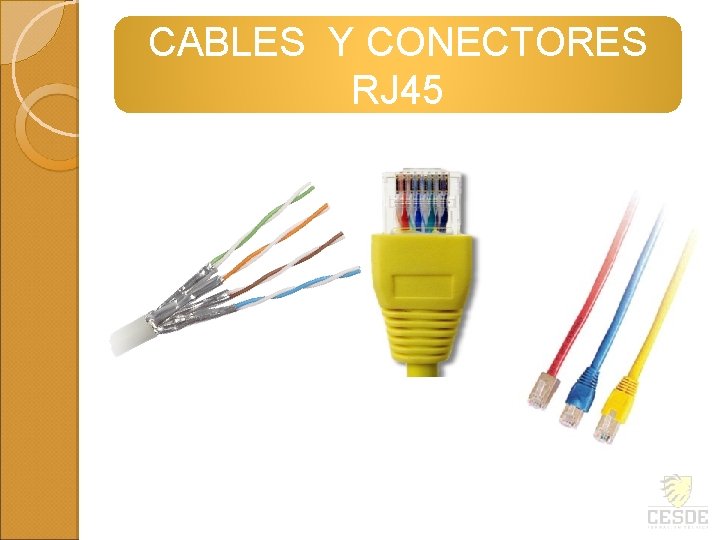 CABLES Y CONECTORES RJ 45 