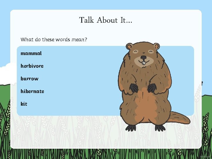 Talk About It… What do these words mean? mammal herbivore burrow hibernate kit 
