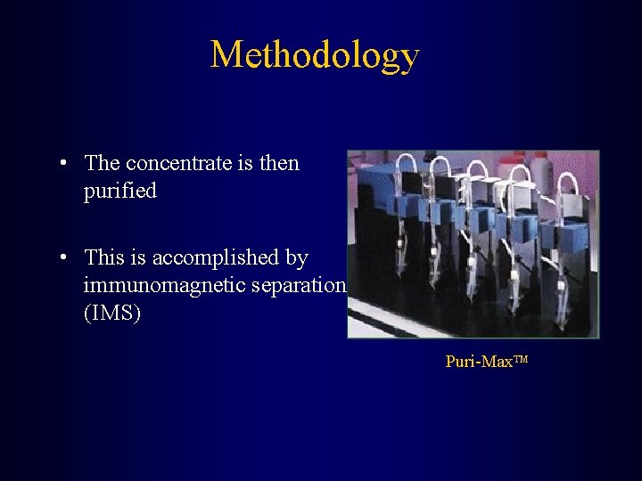 Methodology • The concentrate is then purified • This is accomplished by immunomagnetic separation