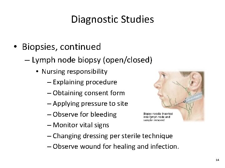 Diagnostic Studies • Biopsies, continued – Lymph node biopsy (open/closed) • Nursing responsibility –