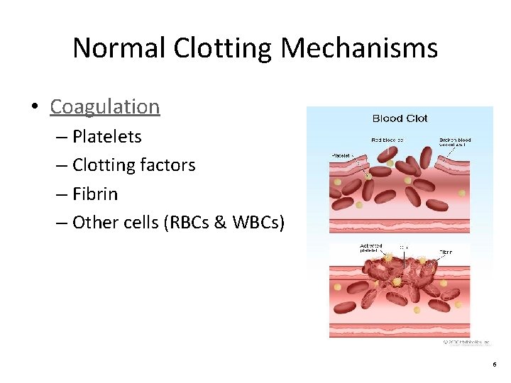 Normal Clotting Mechanisms • Coagulation – Platelets – Clotting factors – Fibrin – Other