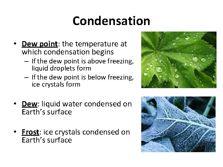 Condensation • Dew point: the temperature at which condensation begins – If the dew