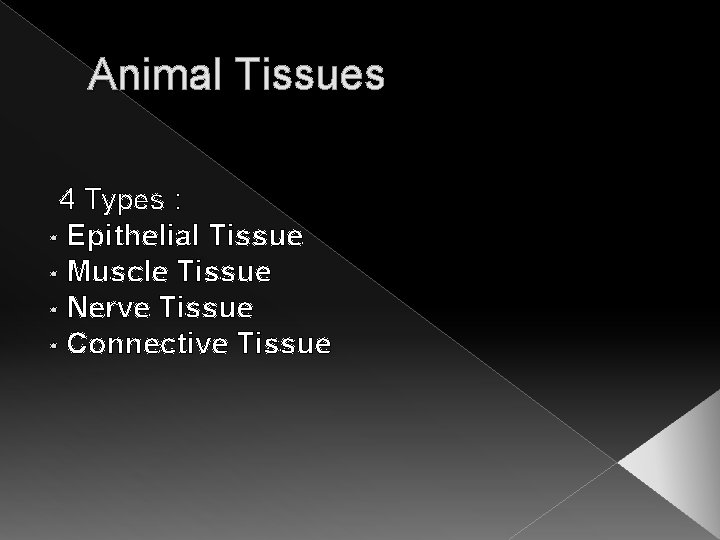 Animal Tissues 4 Types : • Epithelial Tissue • Muscle Tissue • Nerve Tissue