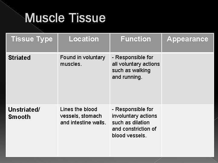 Muscle Tissue Type Location Function Striated Found in voluntary muscles - Responsible for all