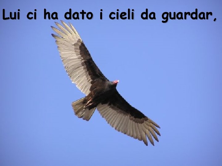 Lui ci ha dato i cieli da guardar, 