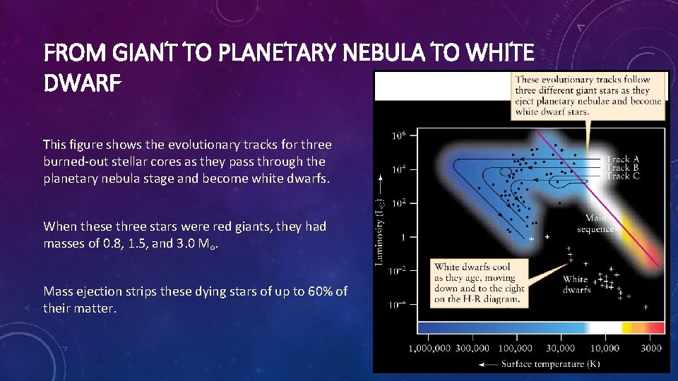 FROM GIANT TO PLANETARY NEBULA TO WHITE DWARF This figure shows the evolutionary tracks