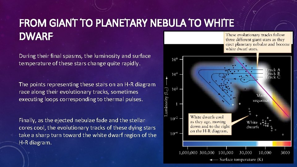 FROM GIANT TO PLANETARY NEBULA TO WHITE DWARF During their final spasms, the luminosity