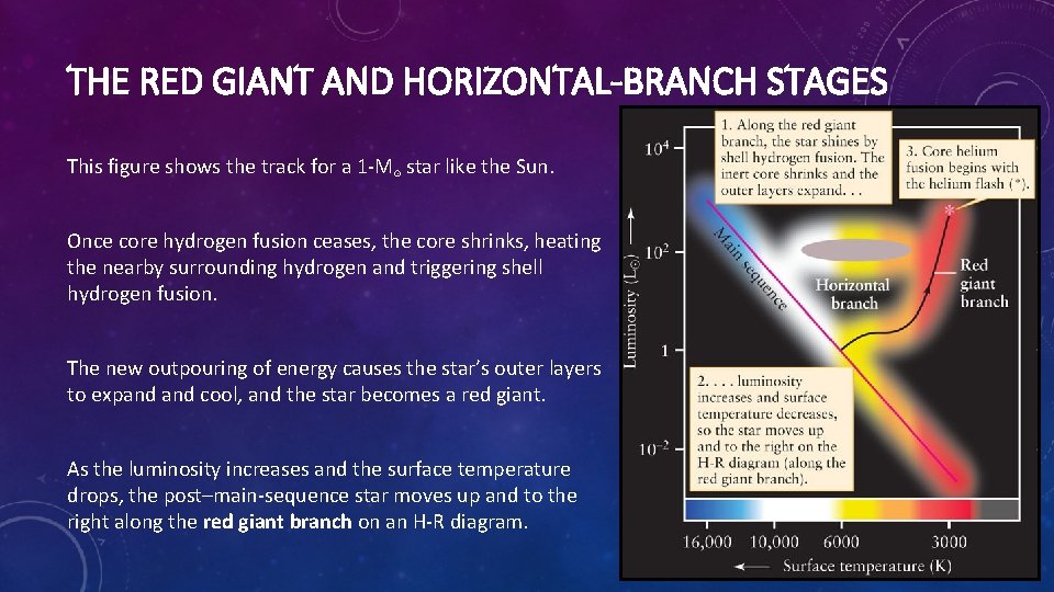 THE RED GIANT AND HORIZONTAL-BRANCH STAGES This figure shows the track for a 1