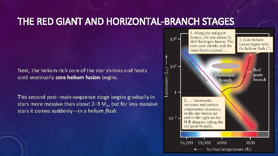 THE RED GIANT AND HORIZONTAL-BRANCH STAGES Next, the helium-rich core of the star shrinks