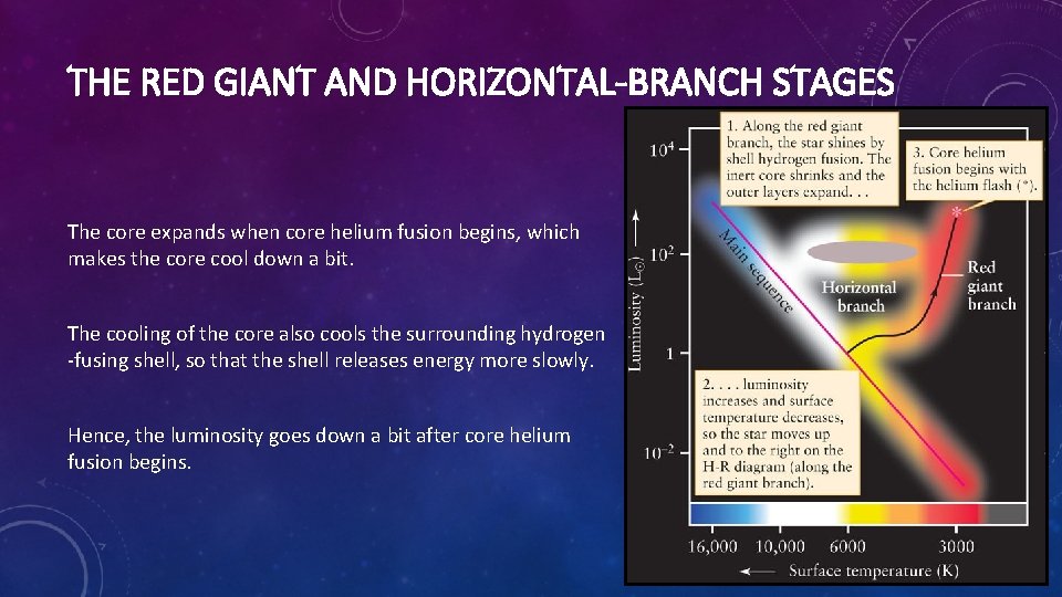 THE RED GIANT AND HORIZONTAL-BRANCH STAGES The core expands when core helium fusion begins,