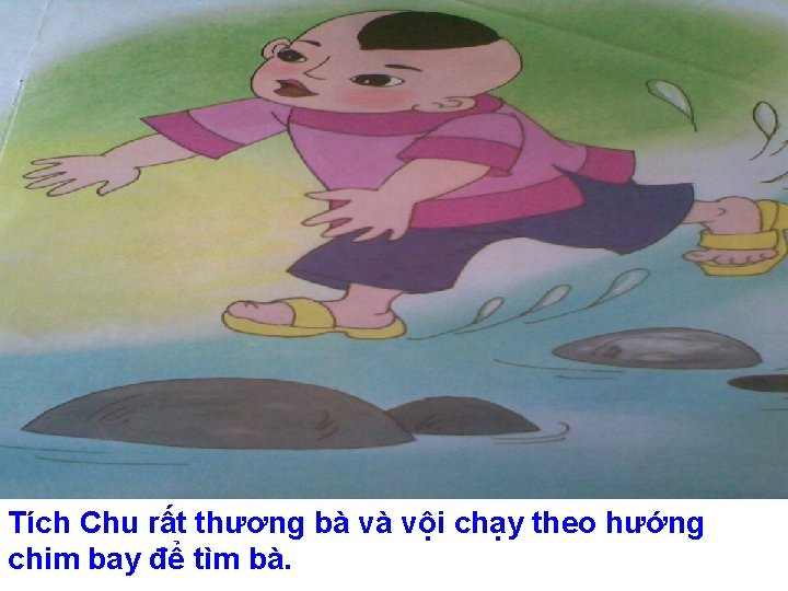 Tích Chu rất thương bà và vội chạy theo hướng chim bay để tìm