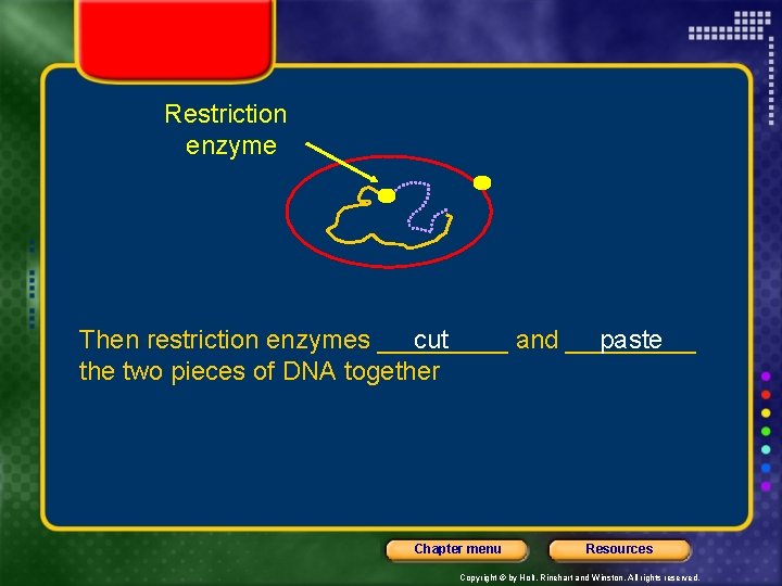 Restriction enzyme Then restriction enzymes _____ cut and _____ paste the two pieces of