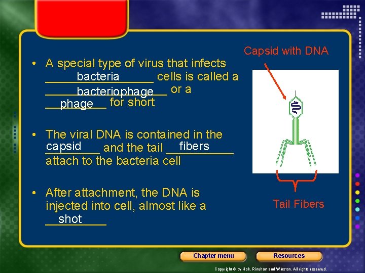  • A special type of virus that infects ________ cells is called a