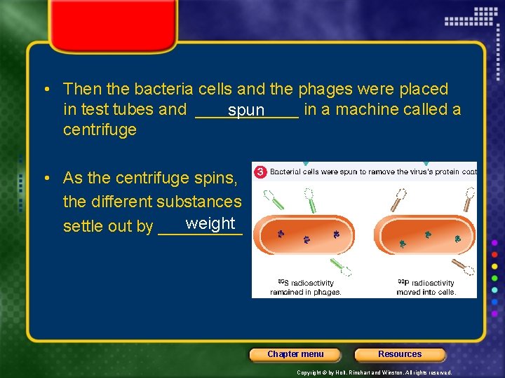  • Then the bacteria cells and the phages were placed in test tubes