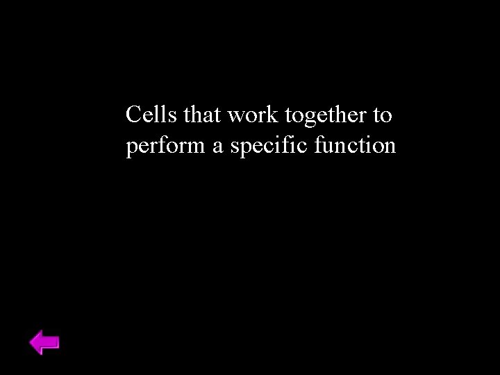 Cells that work together to perform a specific function 