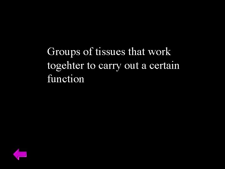 Groups of tissues that work togehter to carry out a certain function 