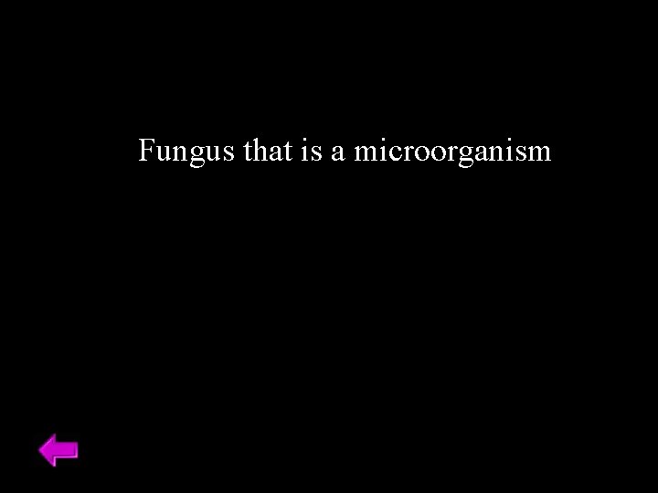 Fungus that is a microorganism 