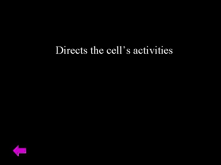 Directs the cell’s activities 