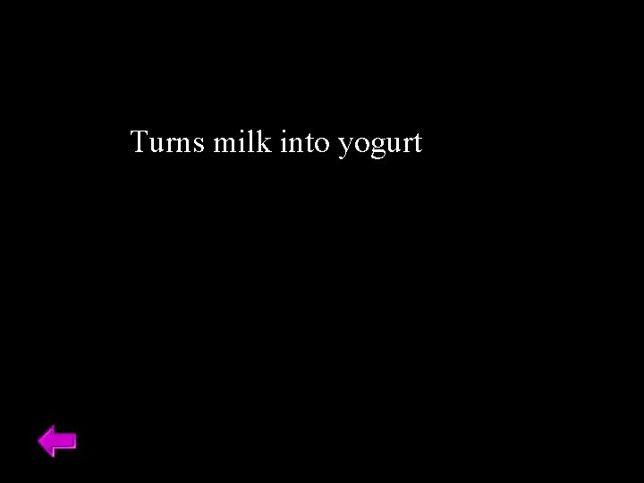 Turns milk into yogurt 