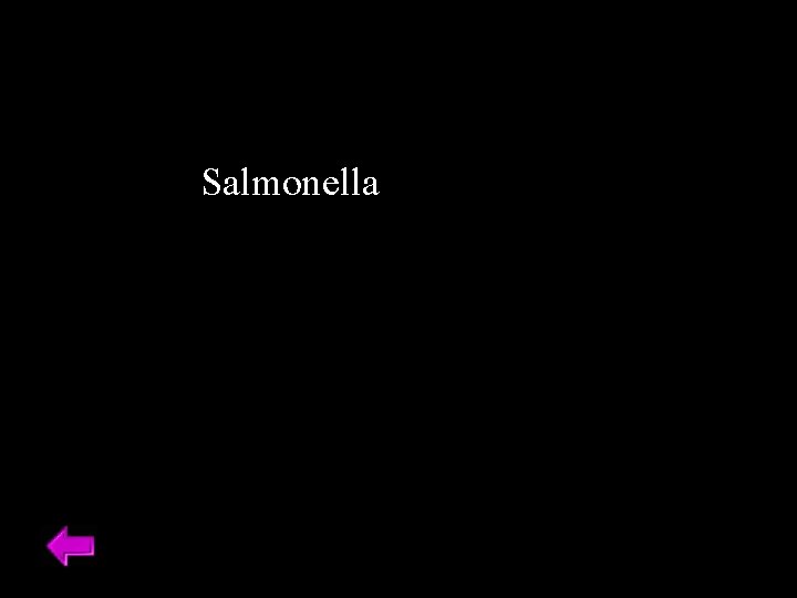 Salmonella 