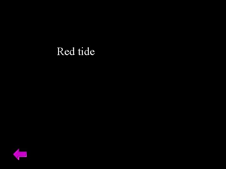 Red tide 