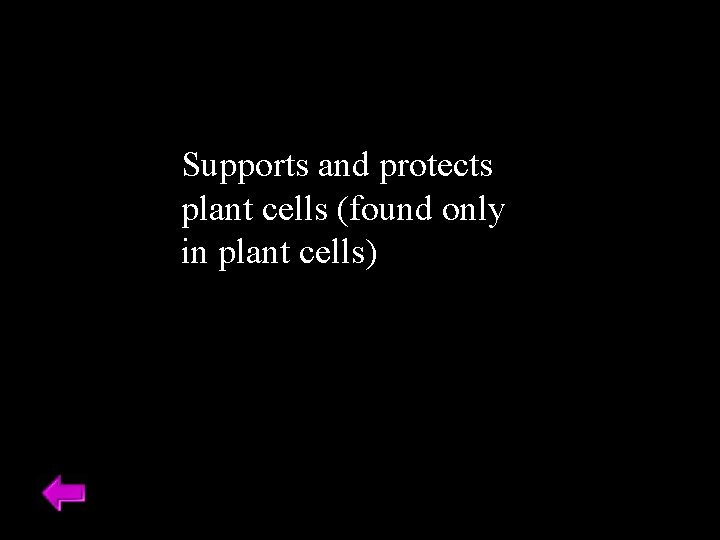 Supports and protects plant cells (found only in plant cells) 