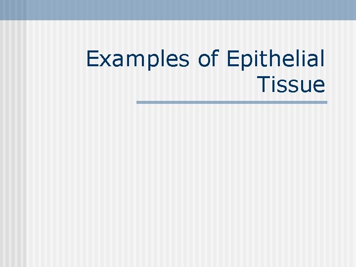 Examples of Epithelial Tissue 