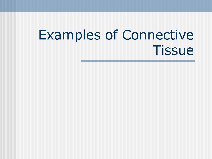 Examples of Connective Tissue 