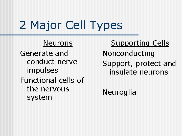 2 Major Cell Types Neurons Generate and conduct nerve impulses Functional cells of the
