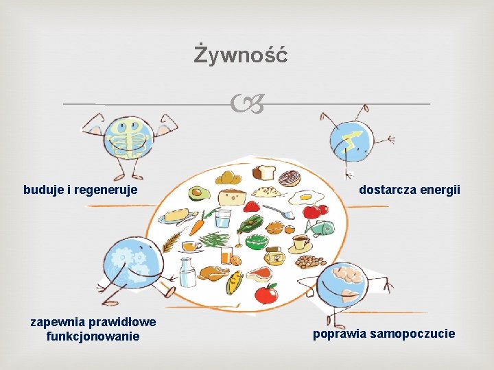 Żywność buduje i regeneruje zapewnia prawidłowe funkcjonowanie dostarcza energii poprawia samopoczucie 