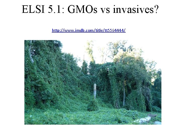 ELSI 5. 1: GMOs vs invasives? http: //www. imdb. com/title/tt 5594444/ ELSI 5. 1: GMOs vs invasives? http: //www. imdb. com/title/tt 5594444/