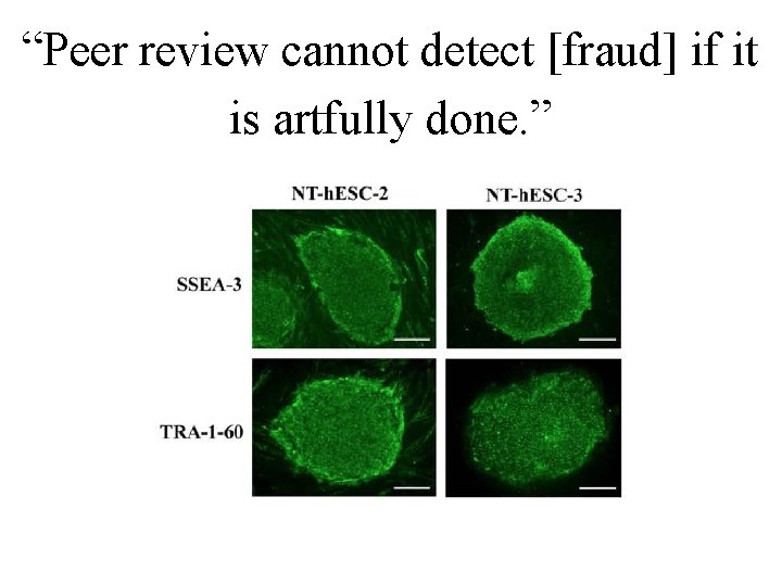 “Peer review cannot detect [fraud] if it is artfully done. ” 