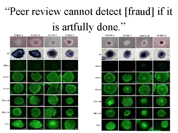 “Peer review cannot detect [fraud] if it is artfully done. ” 