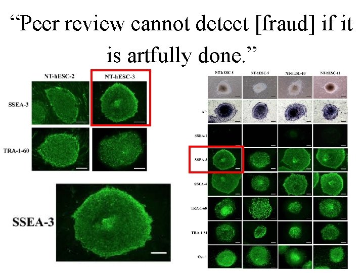 “Peer review cannot detect [fraud] if it is artfully done. ” 