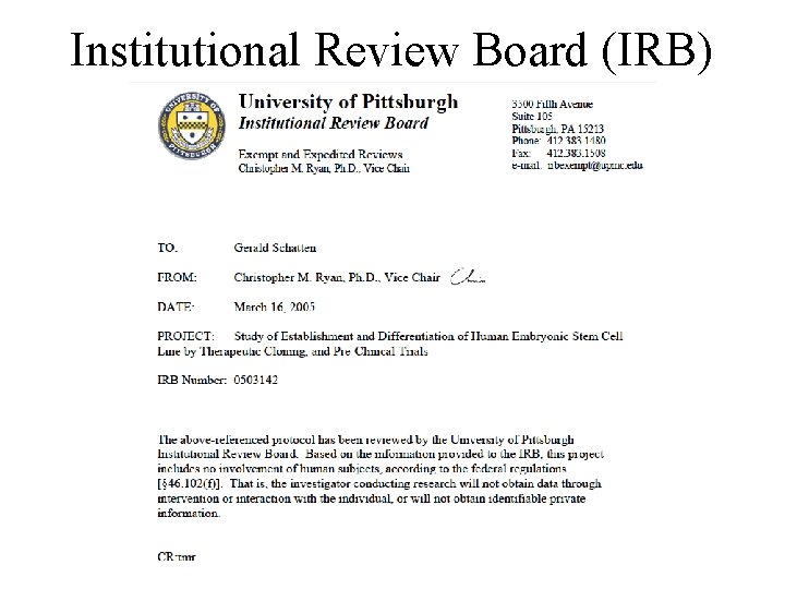 Institutional Review Board (IRB) 