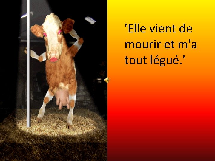 'Elle vient de mourir et m'a tout légué. ' 