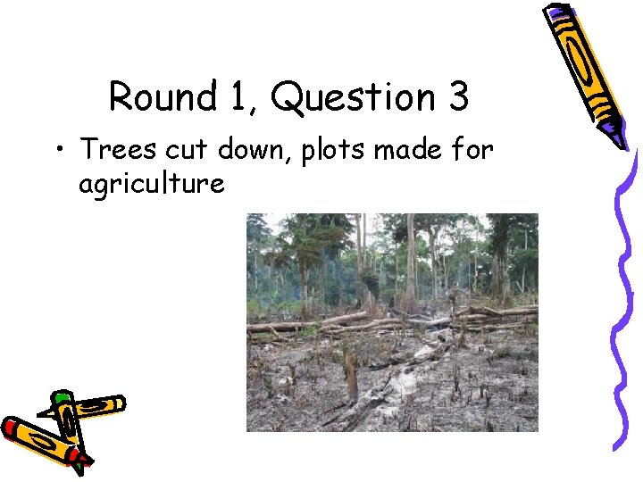 Round 1, Question 3 • Trees cut down, plots made for agriculture 