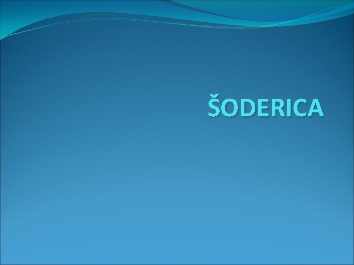 ŠODERICA 