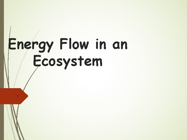 Energy Flow in an Ecosystem 1 