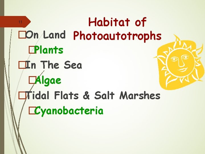 Habitat of �On Land Photoautotrophs 11 �Plants �In The Sea �Algae �Tidal Flats &