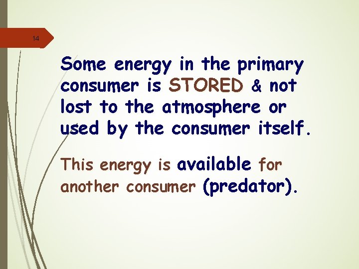 14 Some energy in the primary consumer is STORED & not lost to the