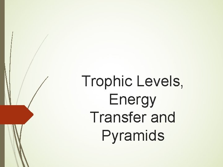 Trophic Levels, Energy Transfer and Pyramids 
