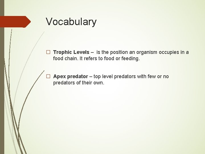 Vocabulary � Trophic Levels – is the position an organism occupies in a food