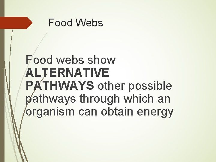 Food Webs Food webs show ALTERNATIVE PATHWAYS other possible pathways through which an organism