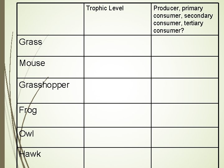 Trophic Level Grass Mouse Grasshopper Frog Owl Hawk Producer, primary consumer, secondary consumer, tertiary