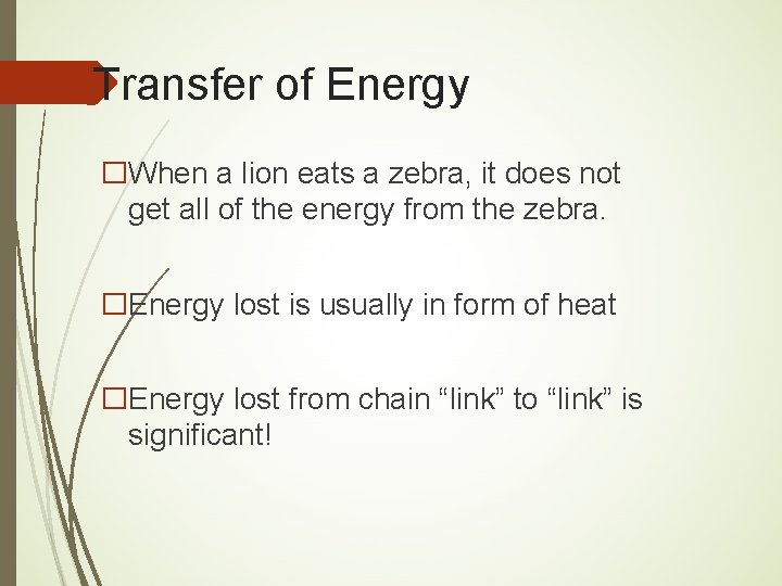 Transfer of Energy �When a lion eats a zebra, it does not get all