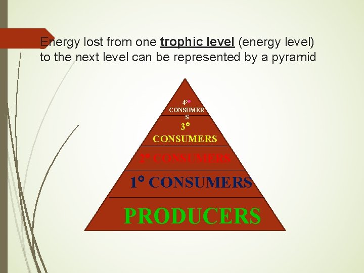 Energy lost from one trophic level (energy level) to the next level can be