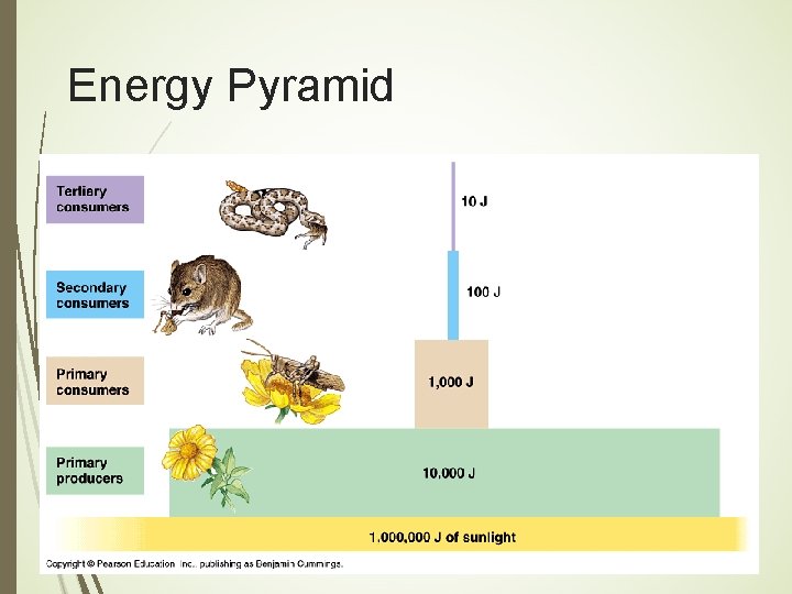 Energy Pyramid 