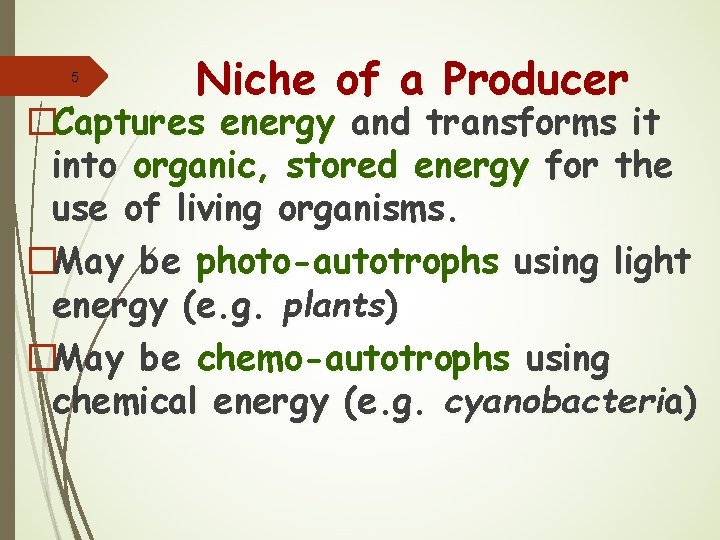 5 Niche of a Producer �Captures energy and transforms it into organic, stored energy